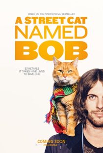 دانلود فیلم A Street Cat Named Bob 201641621-1835474869