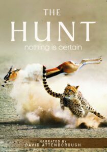 دانلود سریال The Hunt407007-1539336307