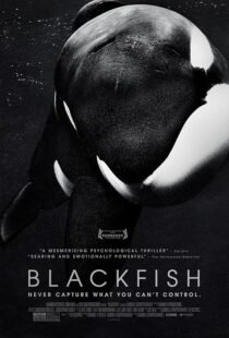 دانلود فیلم Blackfish 2013412328-80035350